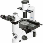 Inverted Biological Microscope