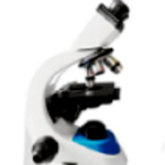 XS-208 Series Laboratory Biological Microscope