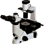 Inverted Microscope