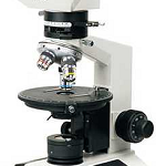 Polarizing Biological Microscope