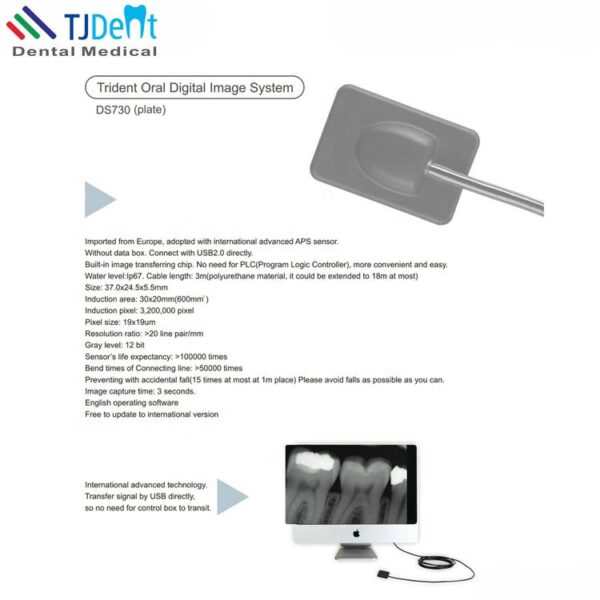 Italy Trident Original Dental X Ray Sensor - Image 4