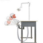 Dental Practice Model Head Simulation Phantom Head
