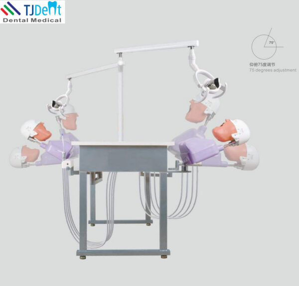 Dental 2 Students training Double Teaching Manual Control Phantom Dental Simulation Unit - Image 4