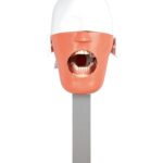 Dental Surgery Practice Model Head Attach on Dental Chair Type Simulation Phantom Head